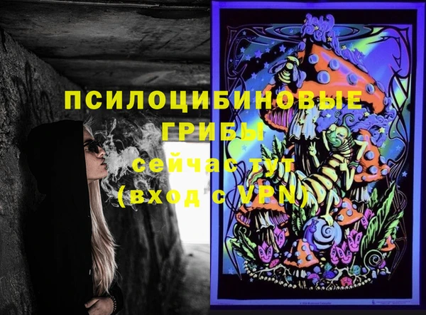 дживик Пересвет