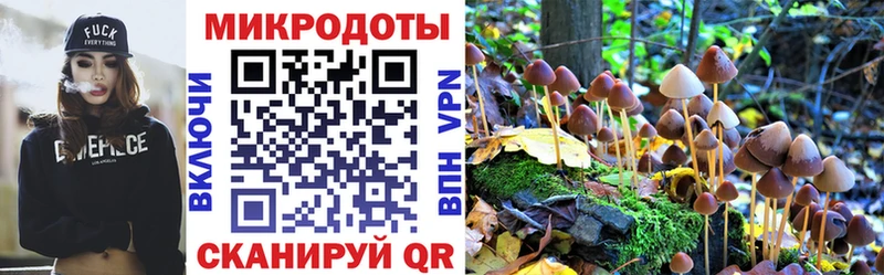 хочу   Усолье  Галлюциногенные грибы Cubensis 